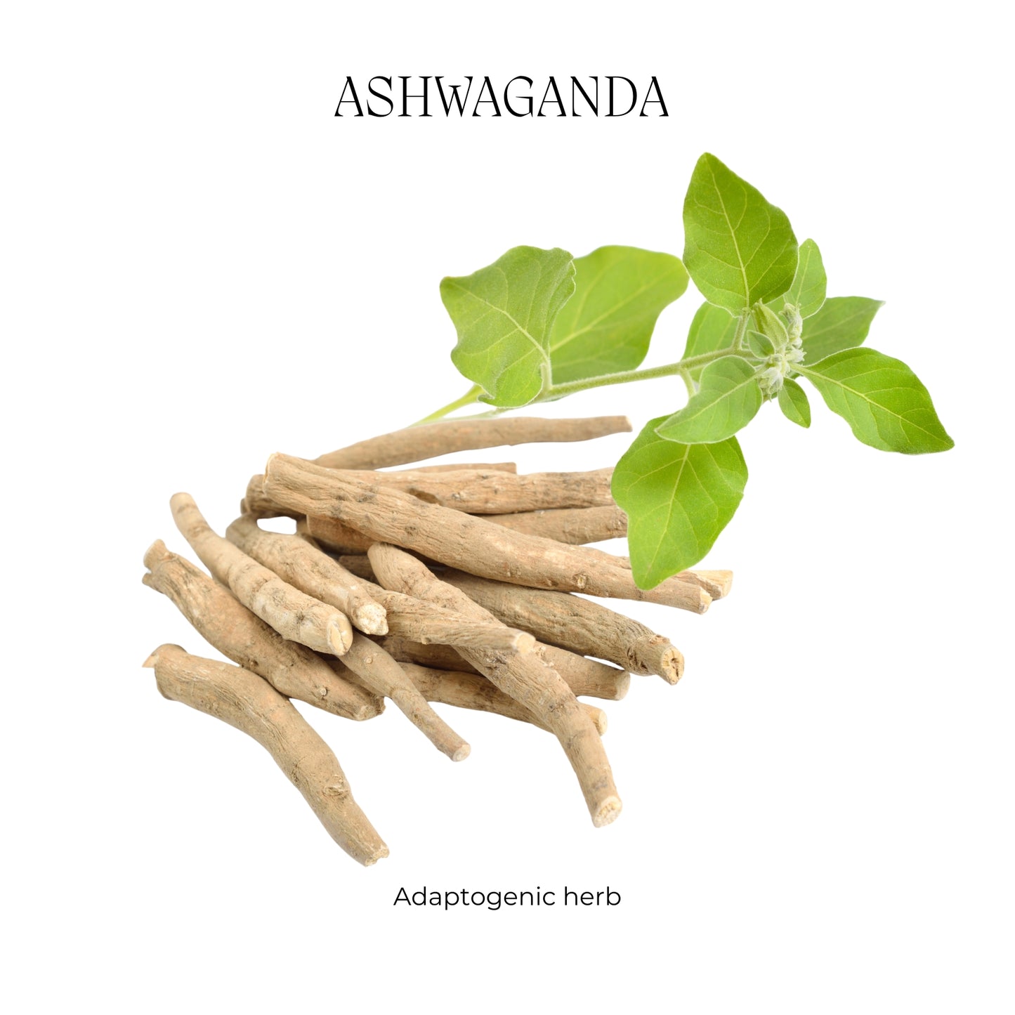 Ashwagandha - Adaptogen
