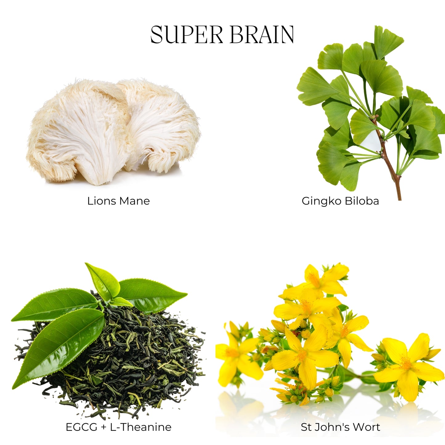 SuperBrain - Mental Fortitude, Anxiety Relief